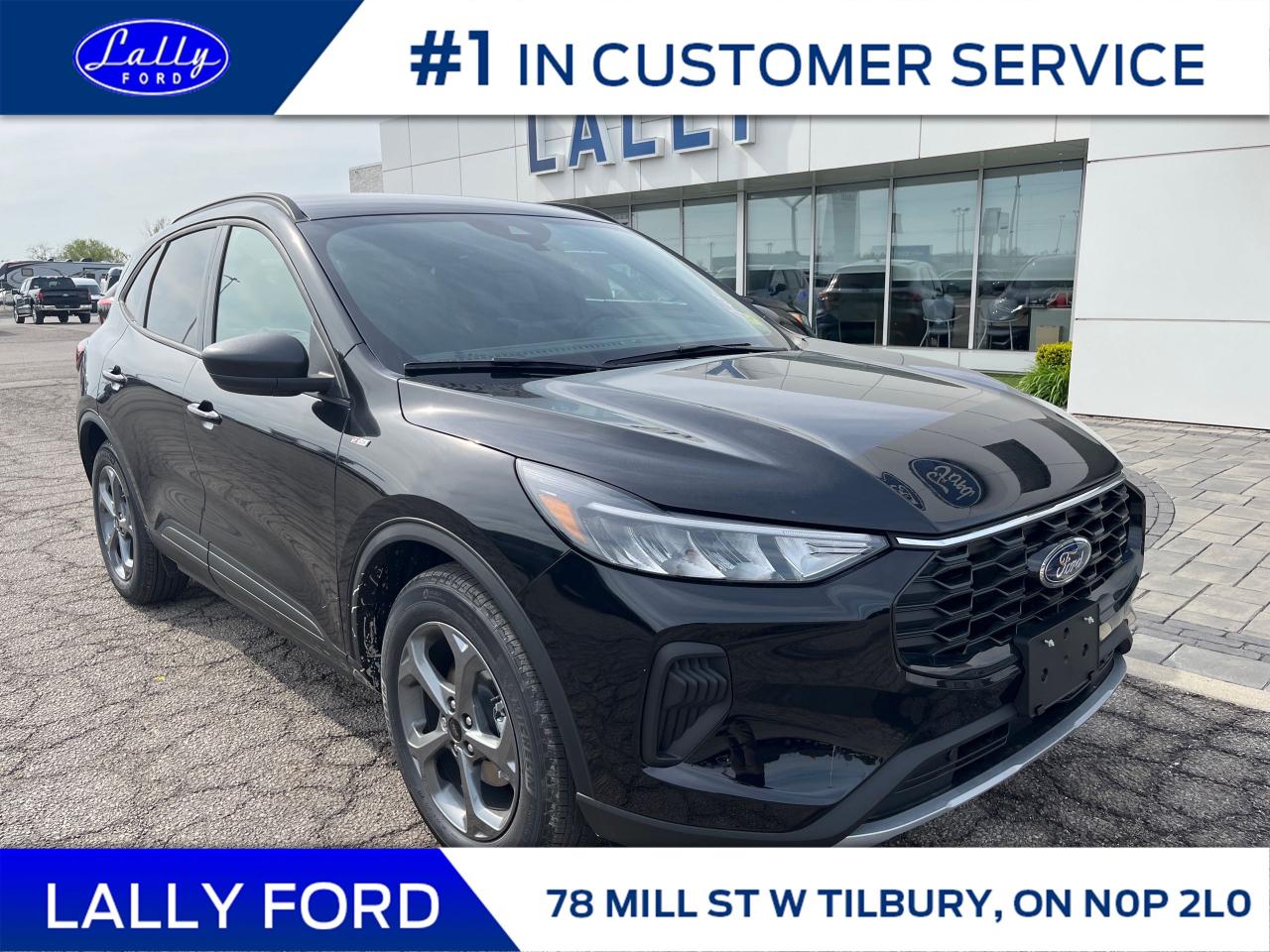 New 2025 Ford Escape ST-Line for sale in Tilbury, ON