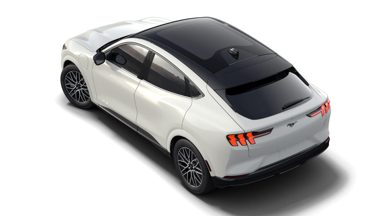 2025 Ford Mustang Mach-E Premium Photo1