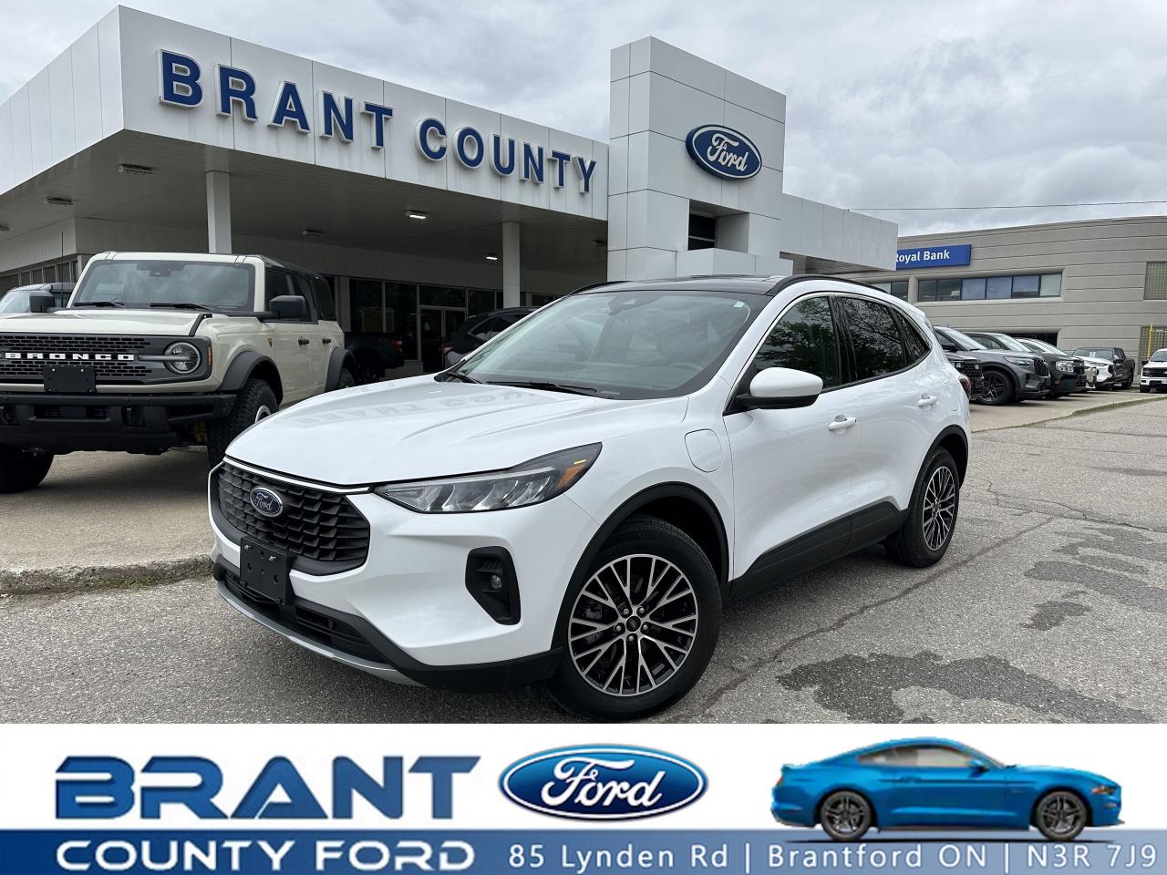 Used 2023 Ford Escape PHEV for sale in Brantford, ON