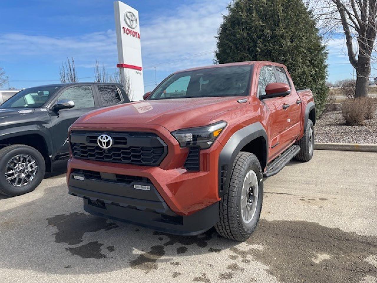 New 2025 Toyota Tacoma TRD OFF ROAD PREMIUM HYBRID for sale in Portage la Prairie, MB