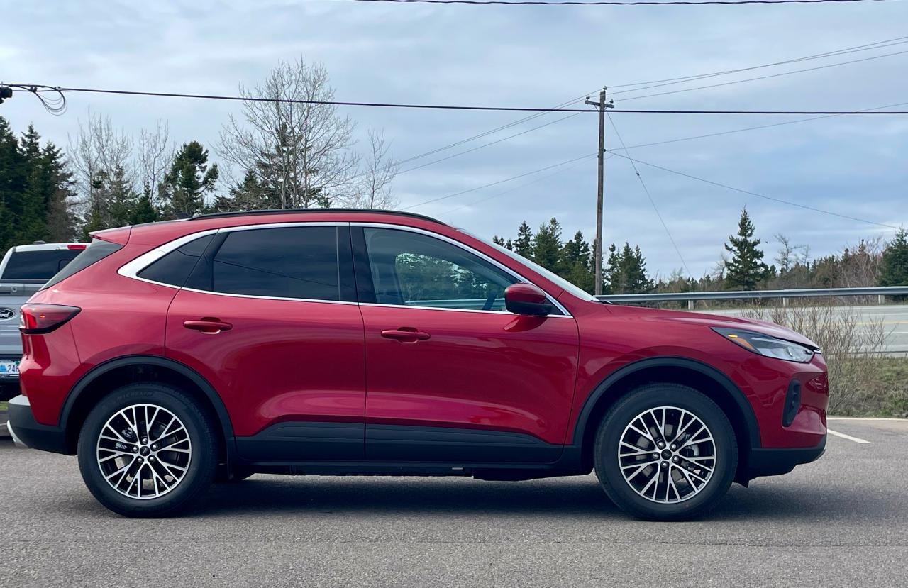 2025 Ford Escape PHEV FWD Photo3