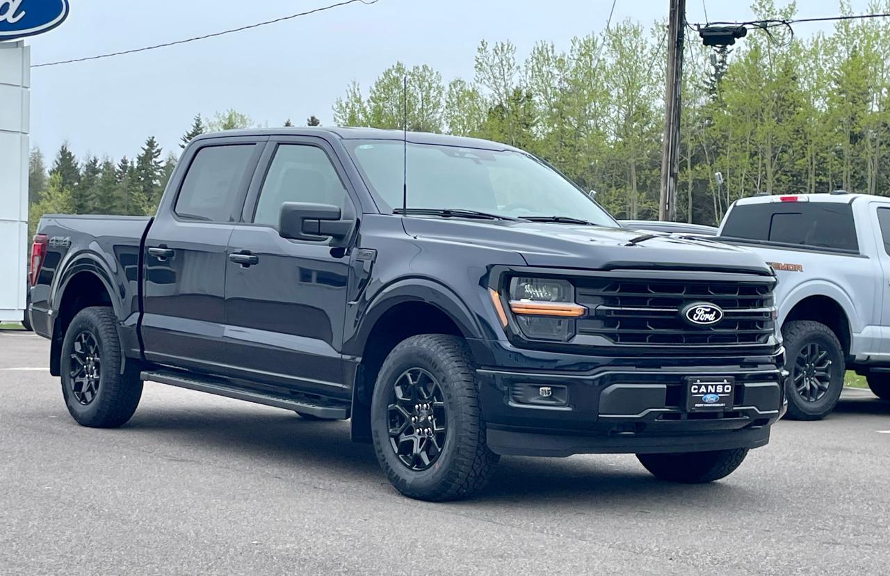 2025 Ford F-150 XLT 4WD SuperCrew 5.5' Box Photo