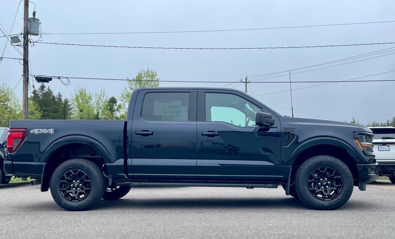 2025 Ford F-150 XLT 4WD SuperCrew 5.5' Box Photo