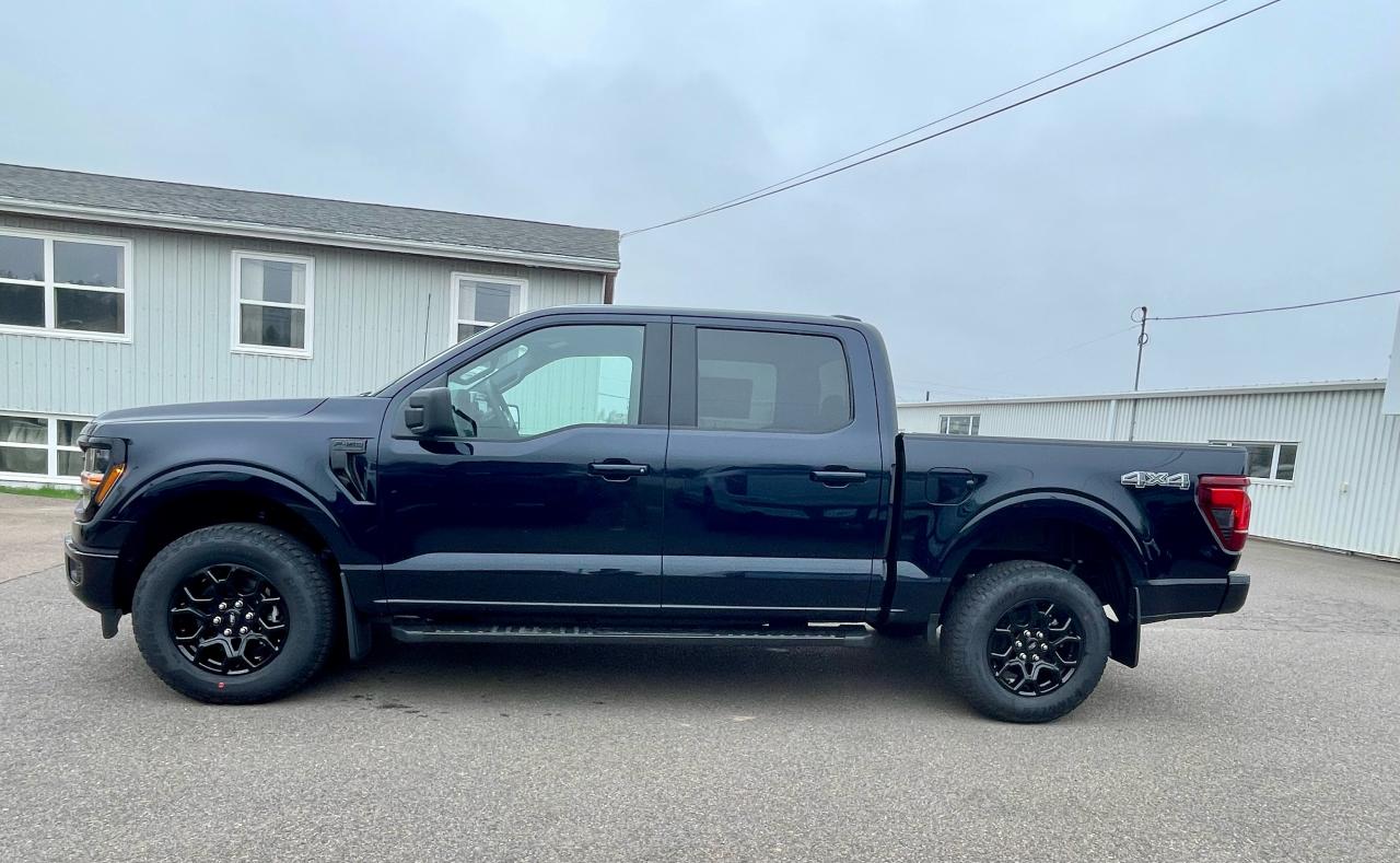 2025 Ford F-150 XLT 4WD SuperCrew 5.5' Box Photo5