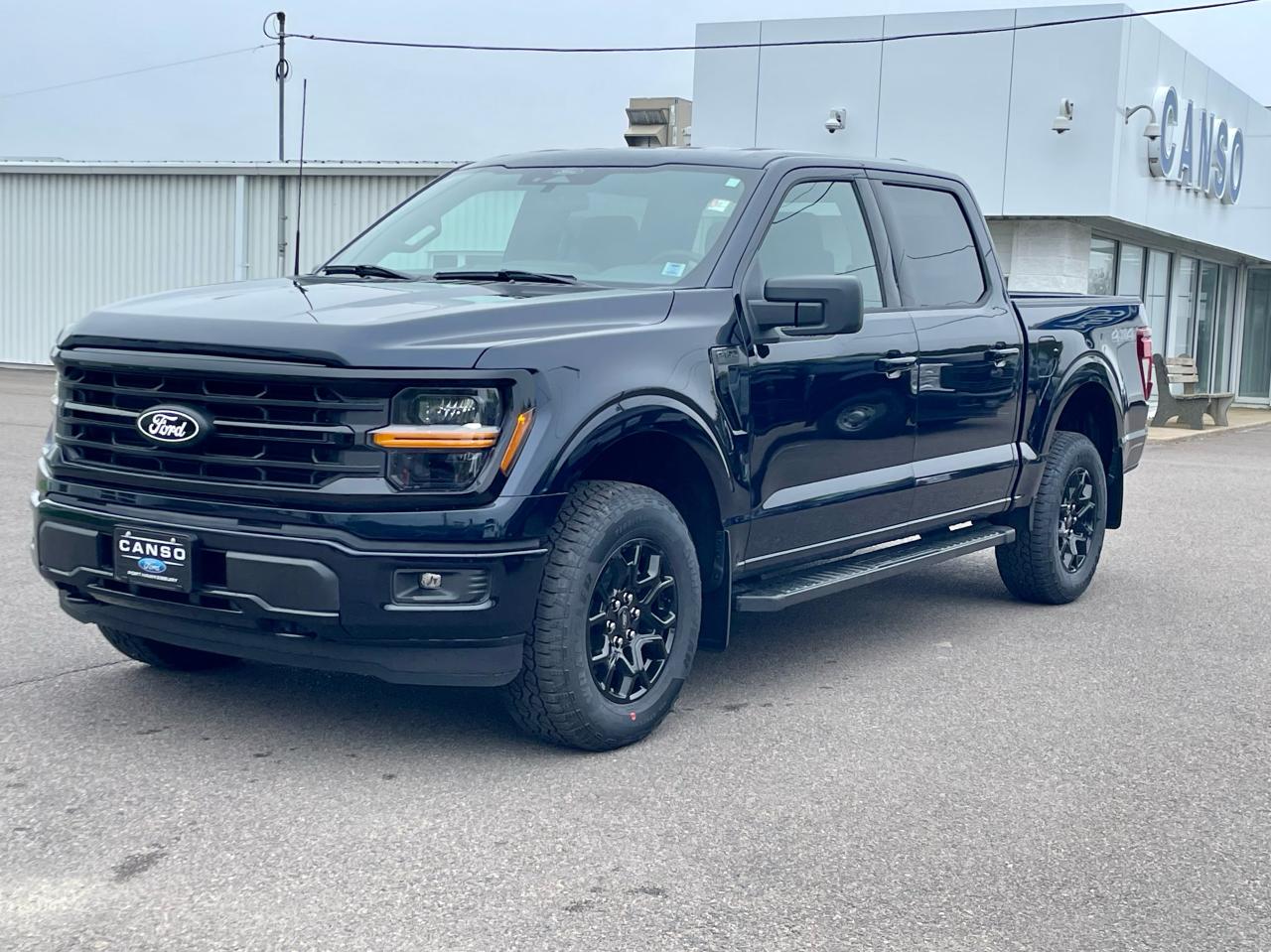 2025 Ford F-150 XLT 4WD SuperCrew 5.5' Box Photo5
