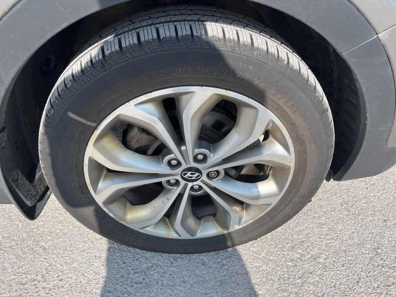 12499561