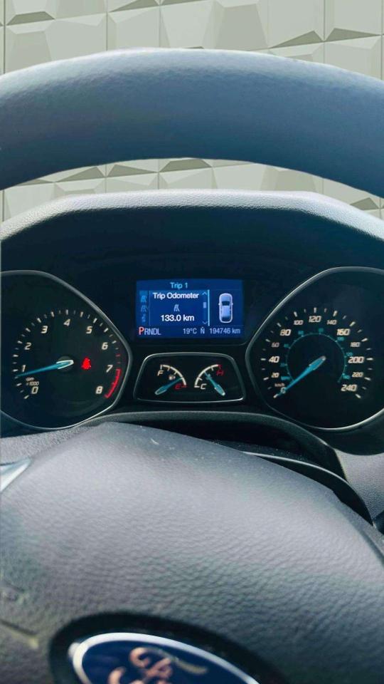 2013 Ford Focus SE - Photo #11
