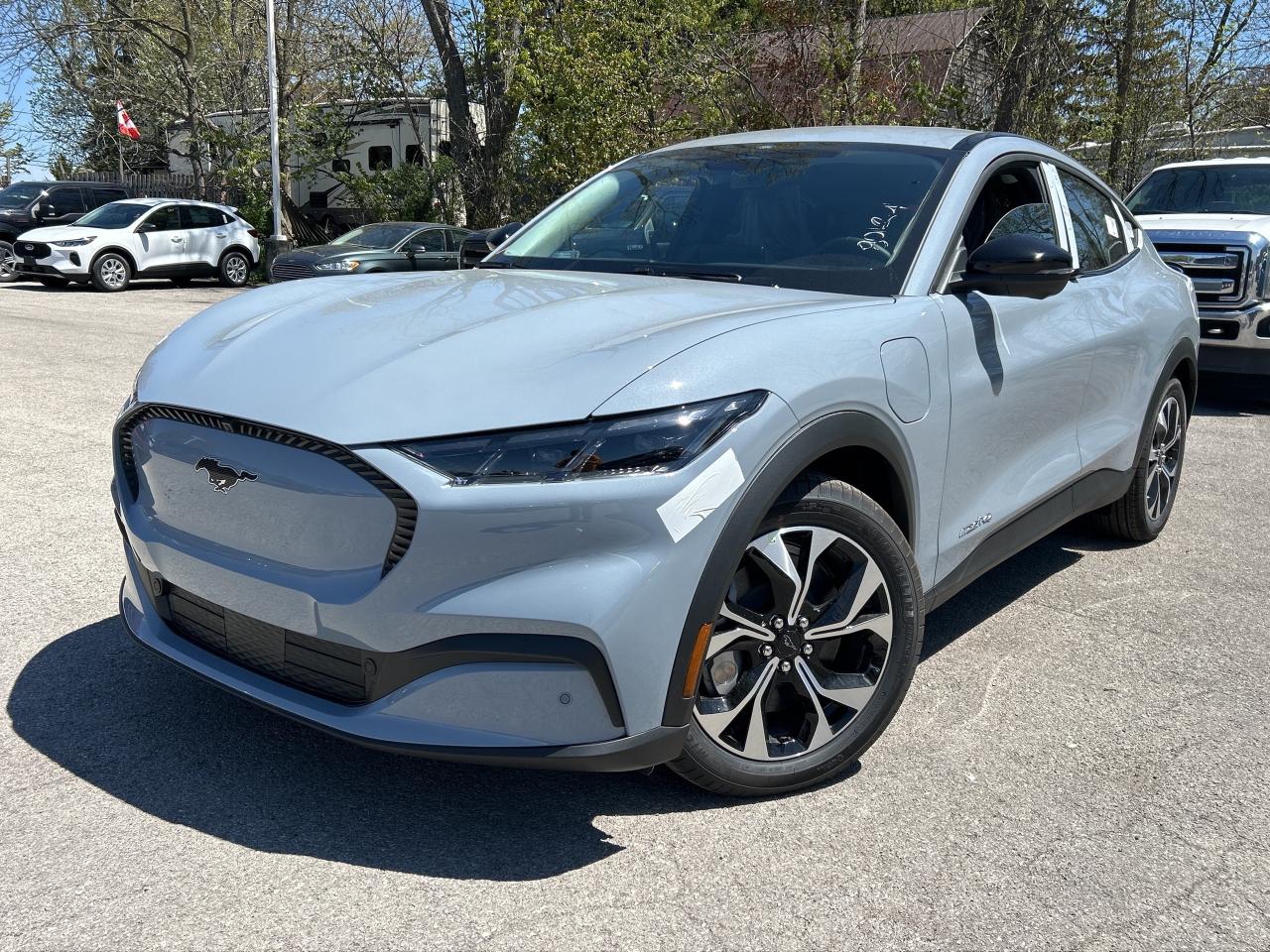 2025 Ford Mustang Mach-E Select Extended Range Service Loaner Photo0