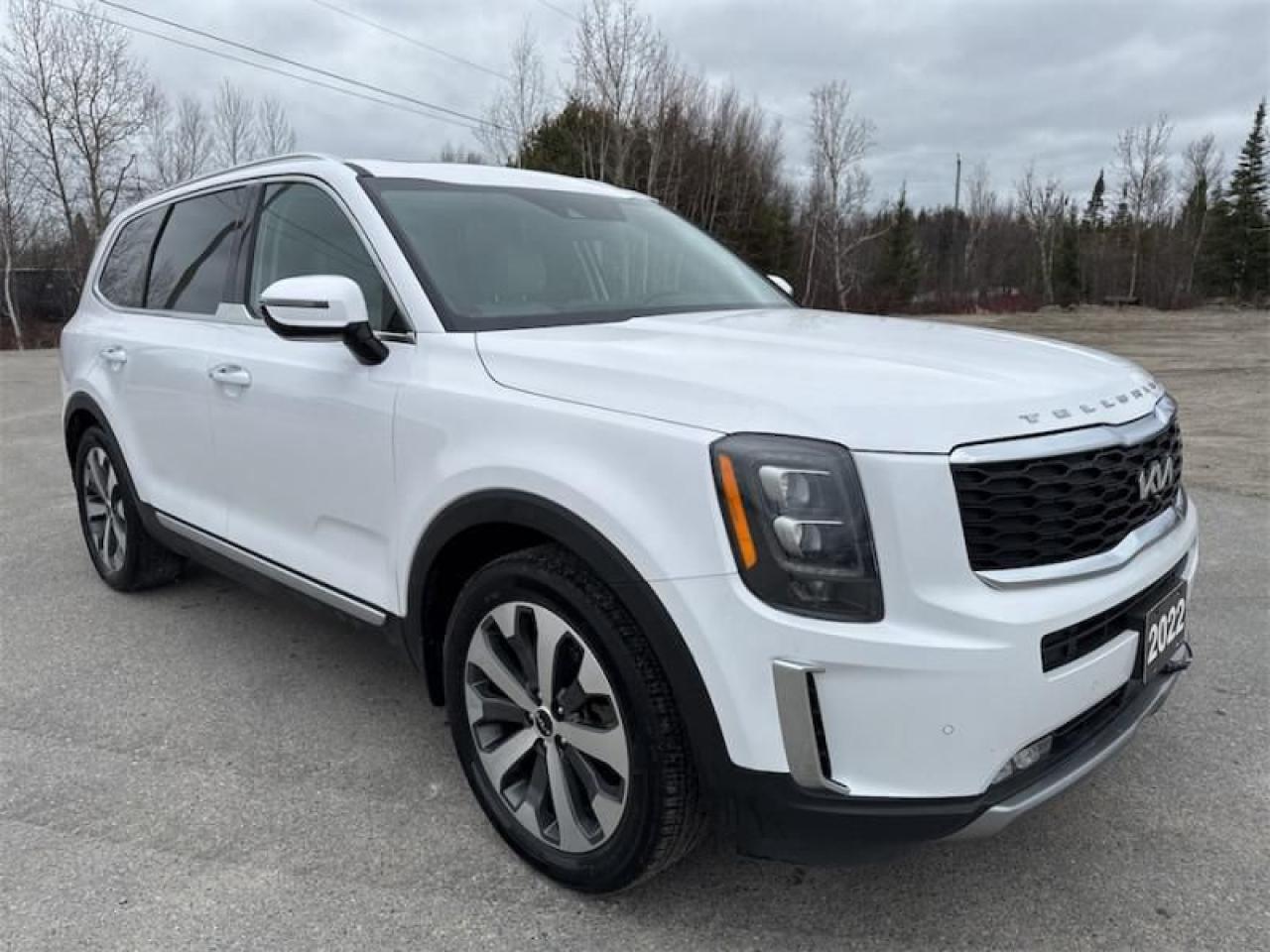 Used 2022 Kia Telluride SX Limited  White Nappa Leather - $288 B/W for sale in Timmins, ON