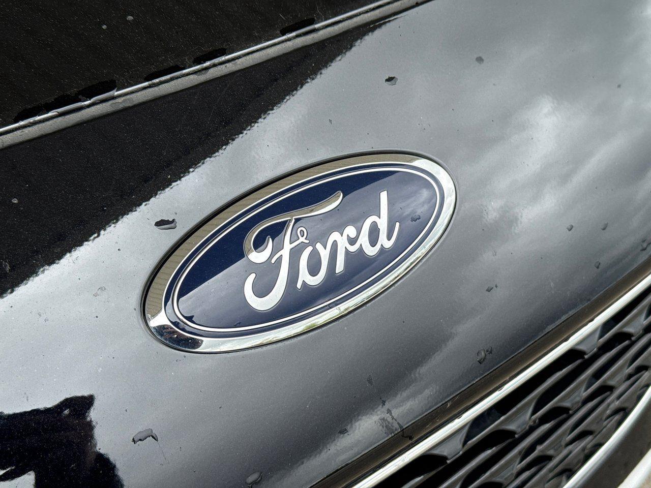 2021 Ford Escape SEL - Photo #10