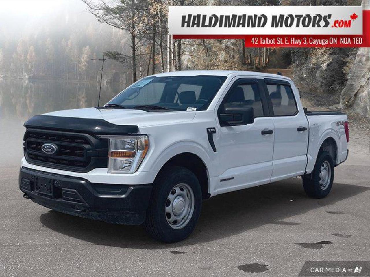 Used 2022 Ford F-150 XL for sale in Cayuga, ON