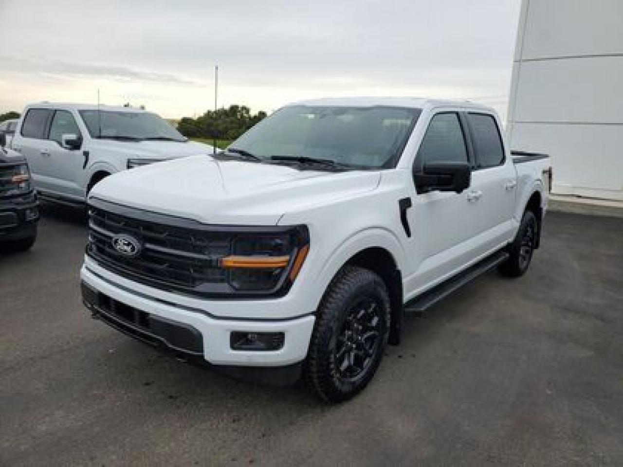 New 2025 Ford F-150 XLT W/ REAR VIEW CAMERA for sale in Moose Jaw, SK