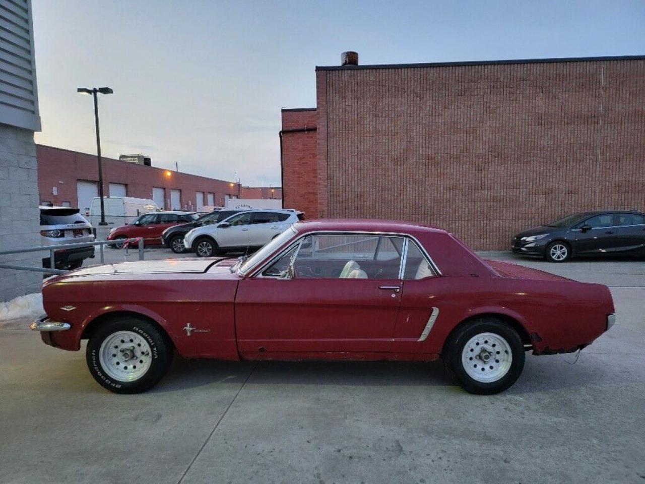 12503691