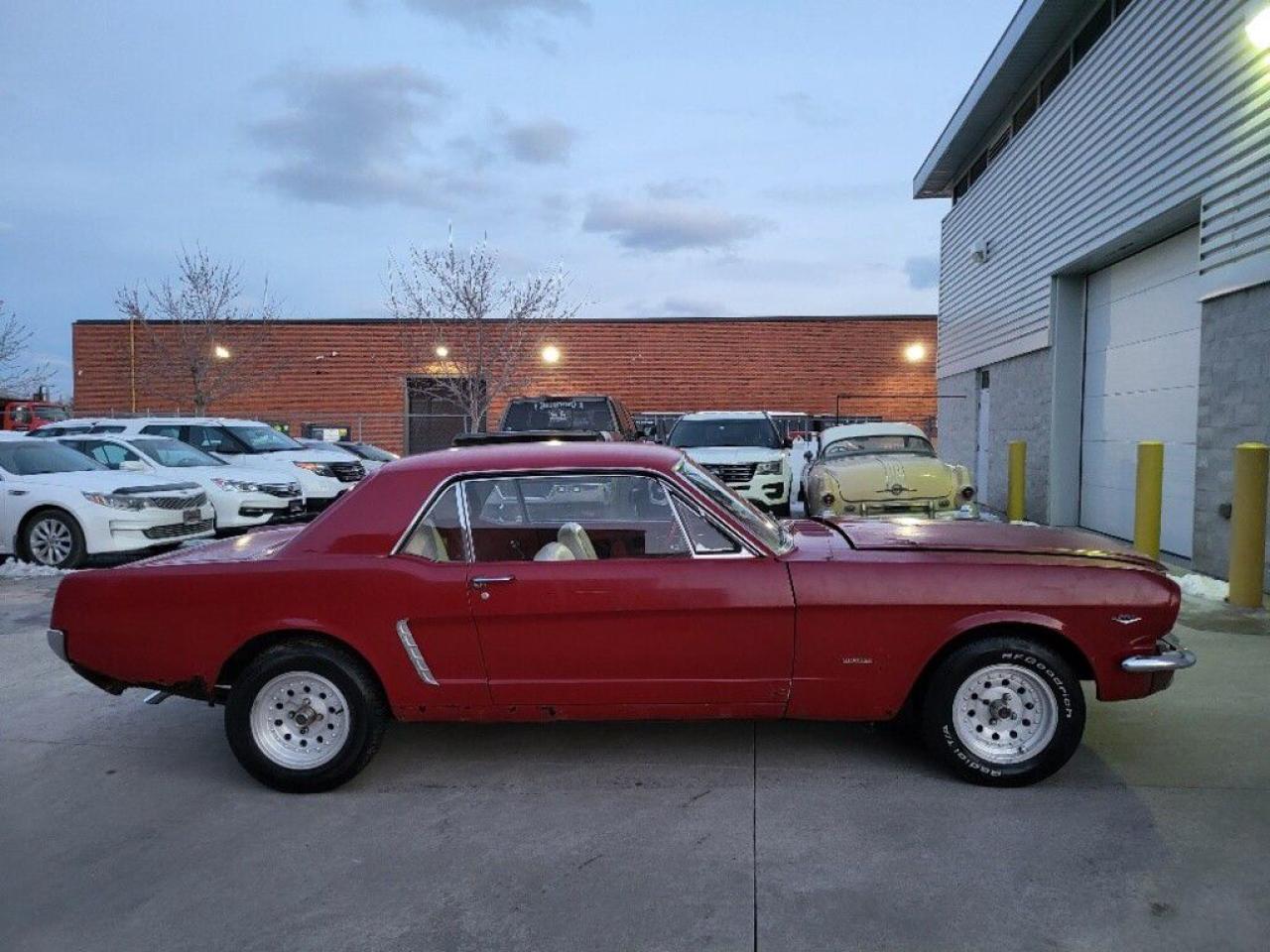 12503691