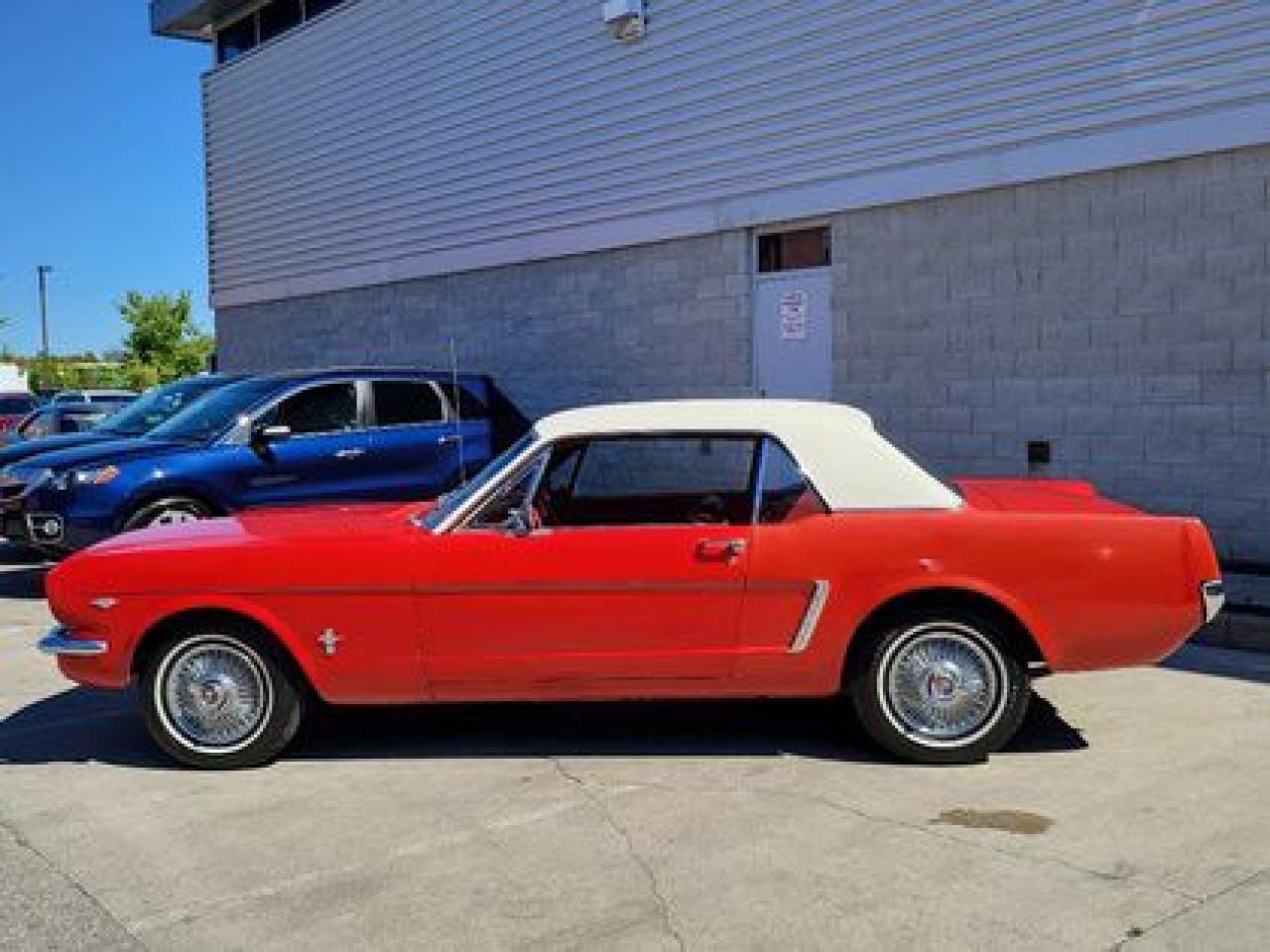 Used 1965 Ford Mustang V8 4.7L 289 MOTOR AUTOMATIC-RED LEATHER WHITE TOP! for sale in Toronto, ON