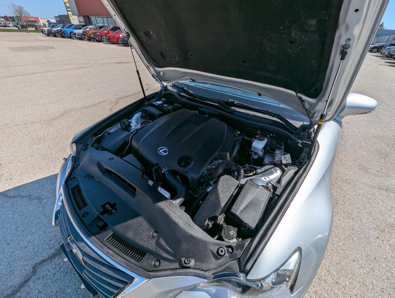 2014 Lexus IS 250 LEATHER | COOLED SEATS | AWD - Photo #18