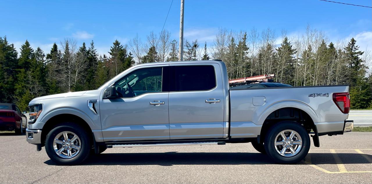 2025 Ford F-150 XLT 4WD SuperCrew 6.5' Box Photo5