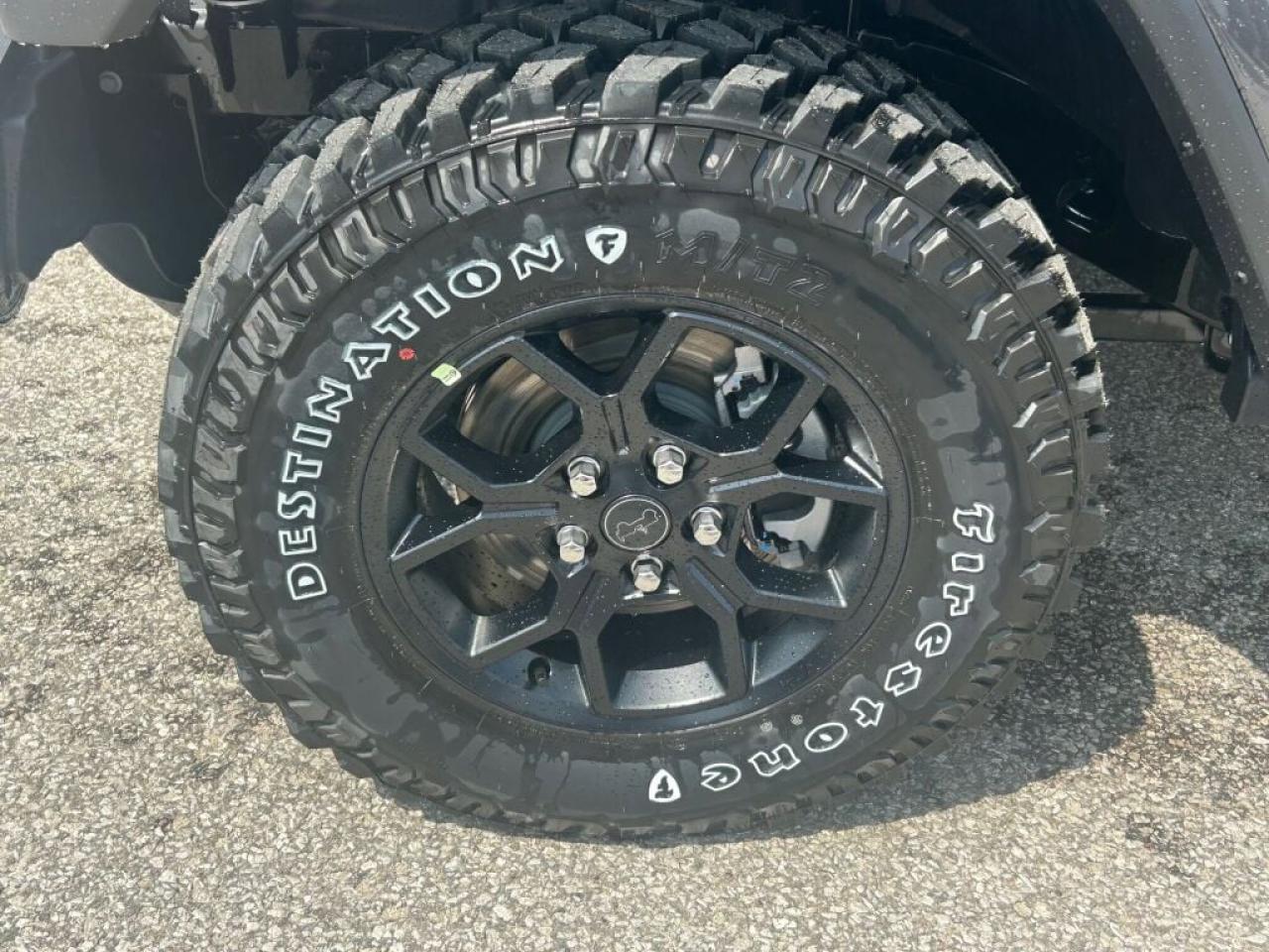 12504958