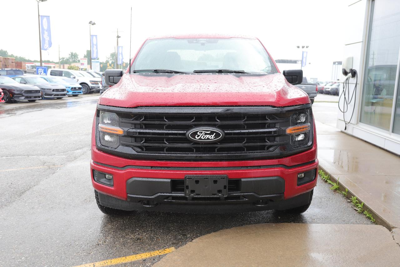2025 Ford F-150 XLT 4WD SuperCrew 5.5' Box Photo5