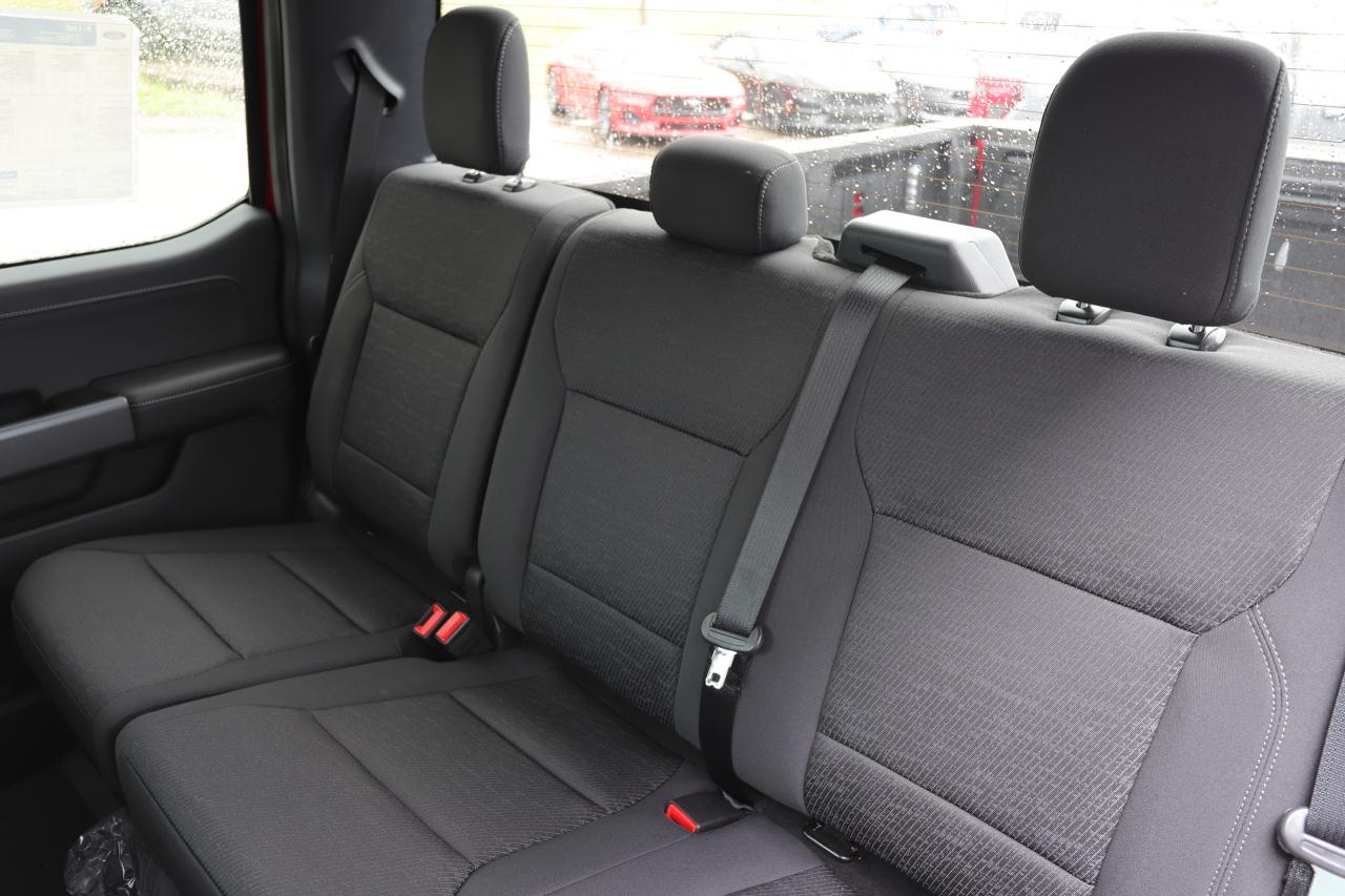 2025 Ford F-150 XLT 4WD SuperCrew 5.5' Box Photo5