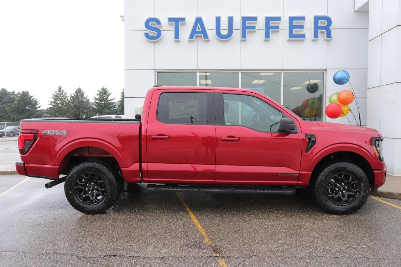 2025 Ford F-150 XLT 4WD SuperCrew 5.5' Box Photo
