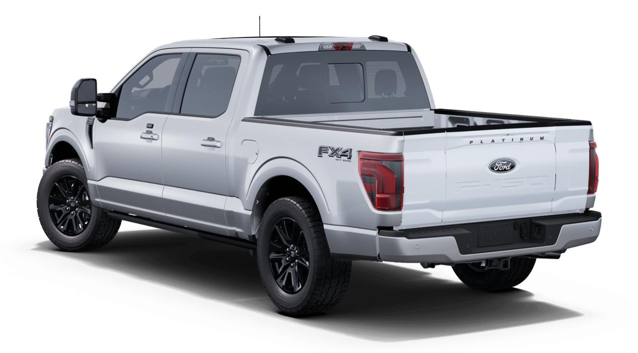 2025 Ford F-150 Platinum Photo5
