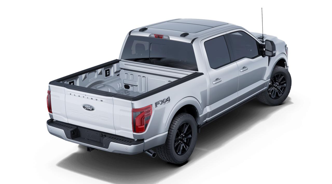 2025 Ford F-150 Platinum Photo5