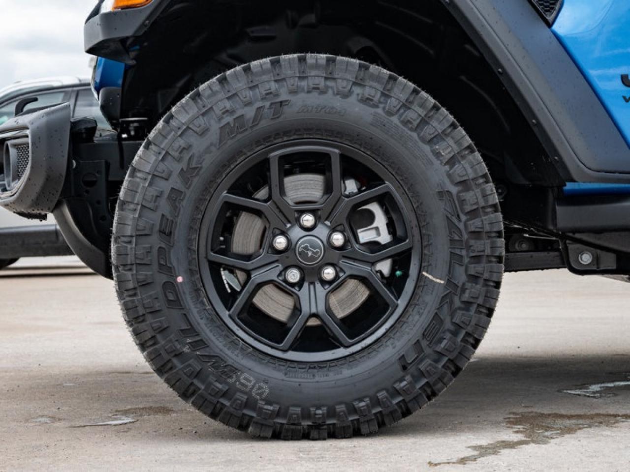 2025 Jeep Wrangler Willys Photo