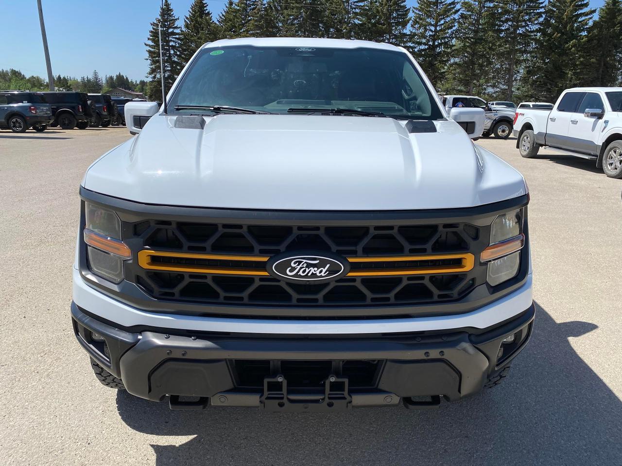 2024 Ford F-150 Tremor Photo1