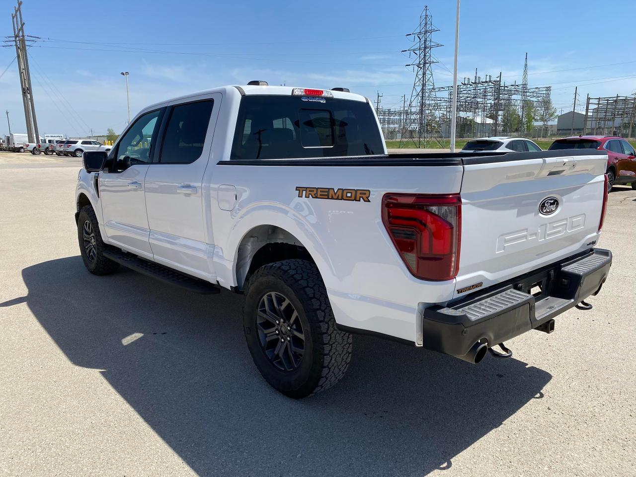 2024 Ford F-150 Tremor Photo