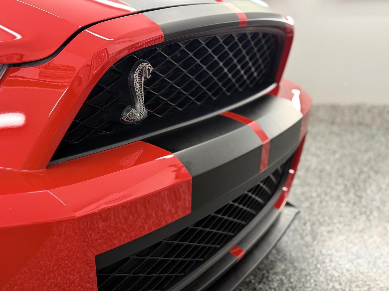 2010 Ford Mustang 2dr Conv Shelby GT500 - Photo #11