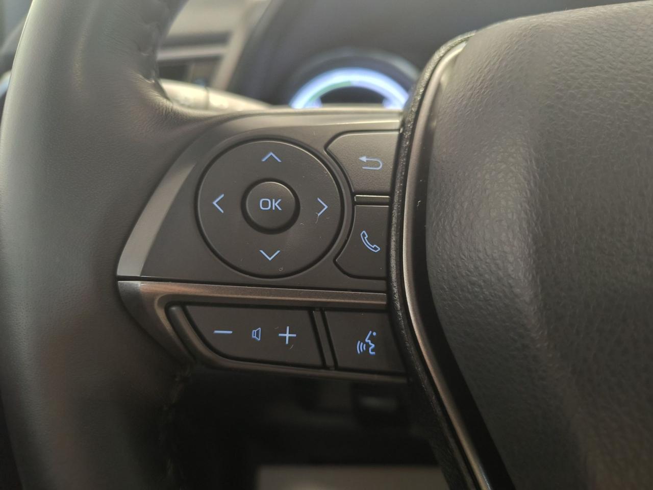 2022 Toyota Camry HYBRID SE Photo