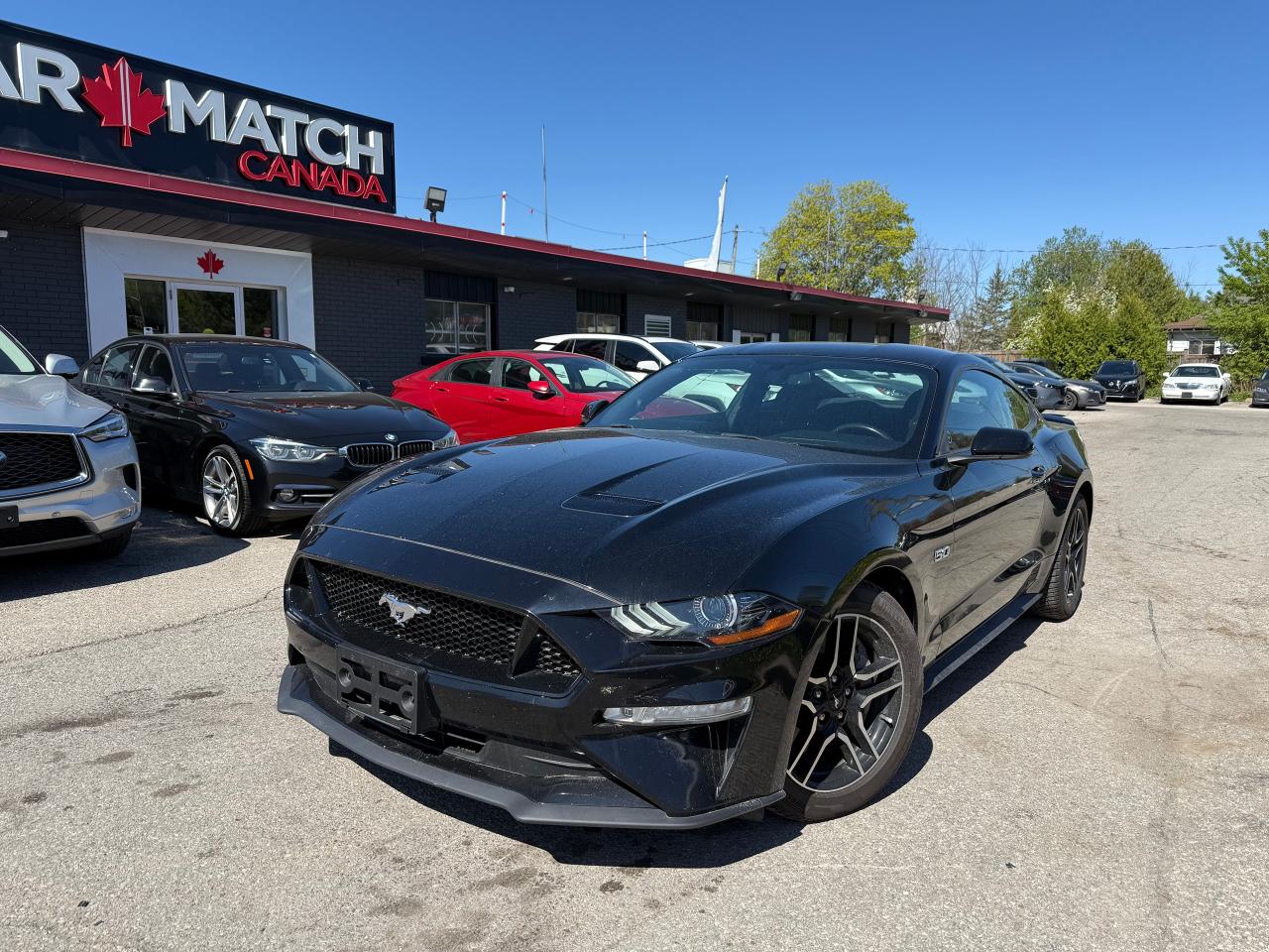 Used 2019 Ford Mustang GT FASTBACK / 5.0 / MANUAL / NO ACCIDENTS for sale in Cambridge, ON