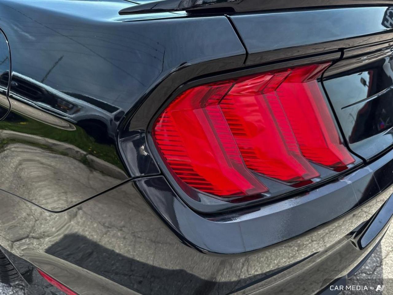 2019 Ford Mustang GT FASTBACK / V8 / MANUAL / NO ACCIDENTS - Photo #8