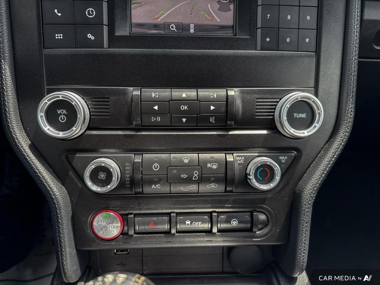 2019 Ford Mustang GT FASTBACK / V8 / MANUAL / NO ACCIDENTS - Photo #15