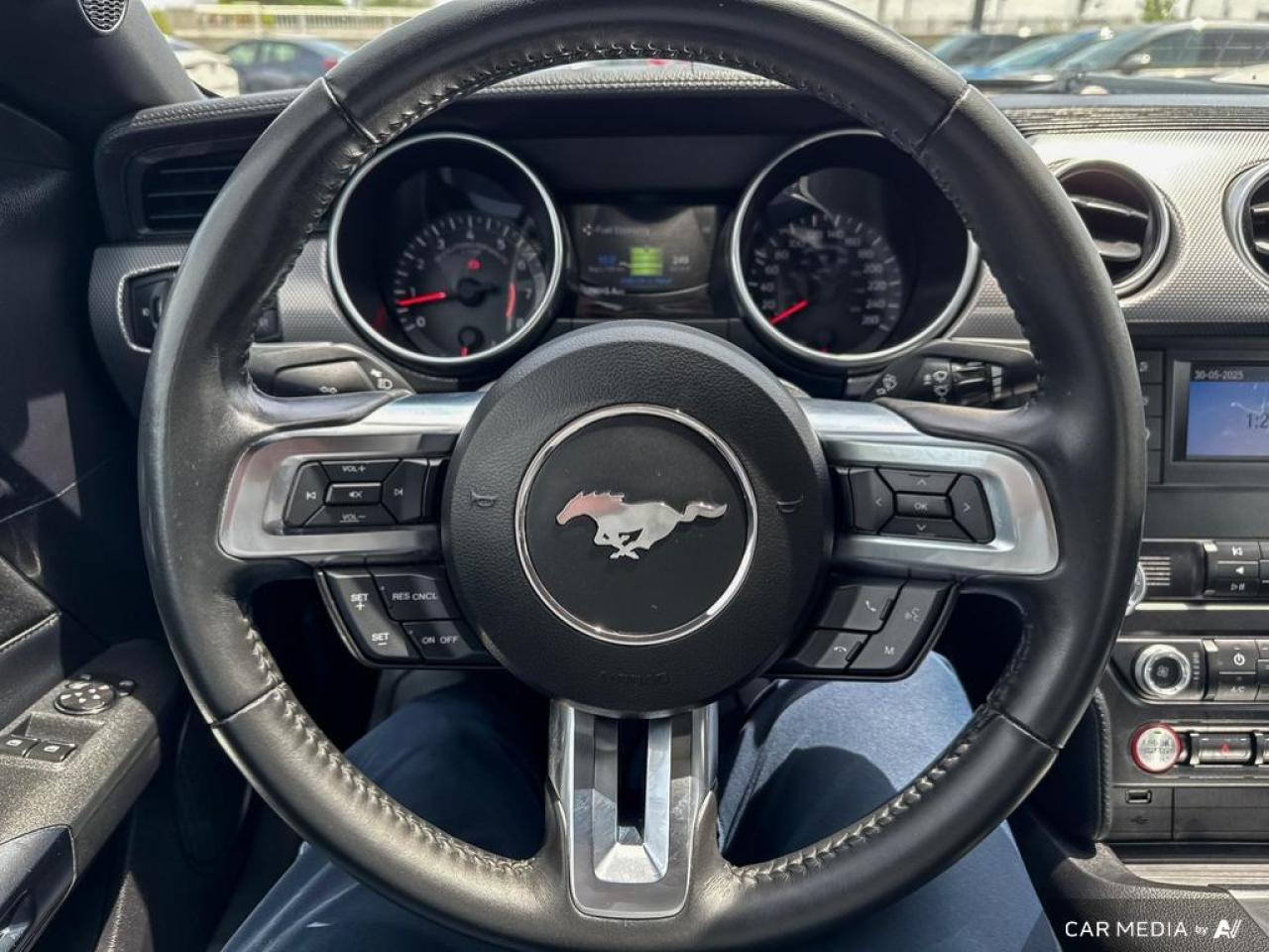 2019 Ford Mustang GT FASTBACK / V8 / MANUAL / NO ACCIDENTS - Photo #17