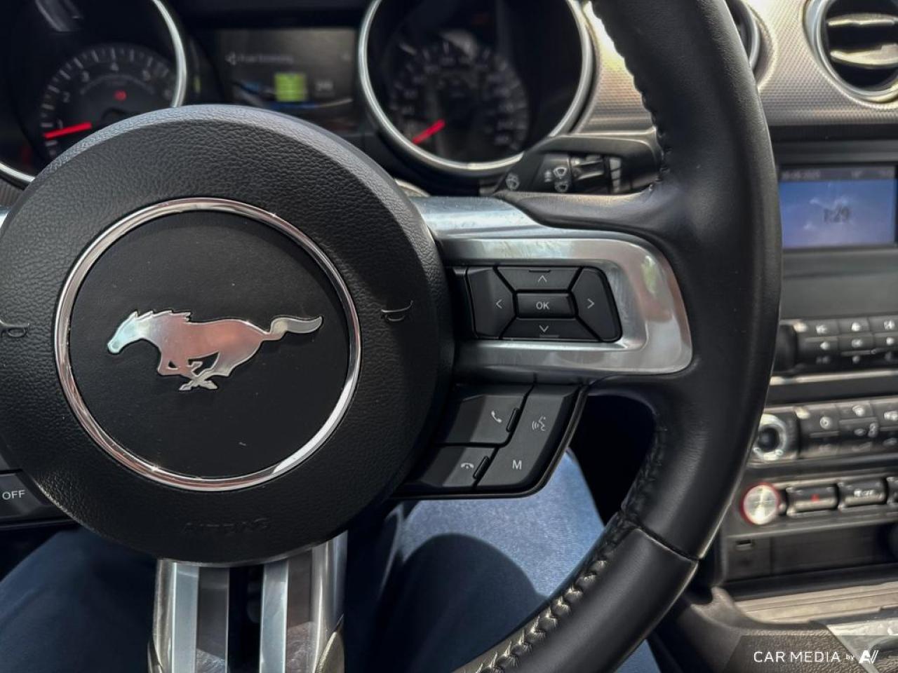 2019 Ford Mustang GT FASTBACK / V8 / MANUAL / NO ACCIDENTS - Photo #19