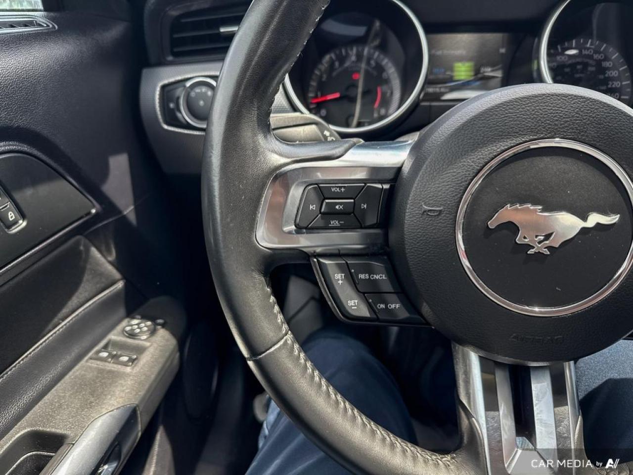 2019 Ford Mustang GT FASTBACK / V8 / MANUAL / NO ACCIDENTS - Photo #18