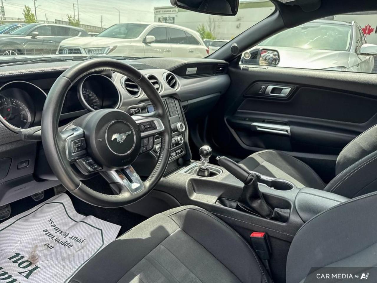 2019 Ford Mustang GT FASTBACK / V8 / MANUAL / NO ACCIDENTS - Photo #9