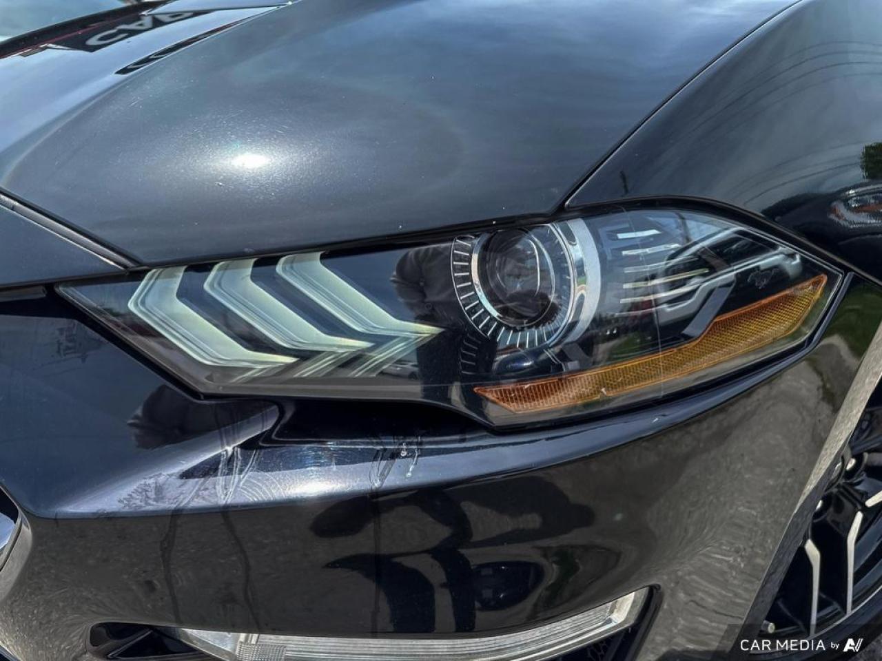 2019 Ford Mustang GT FASTBACK / V8 / MANUAL / NO ACCIDENTS - Photo #7