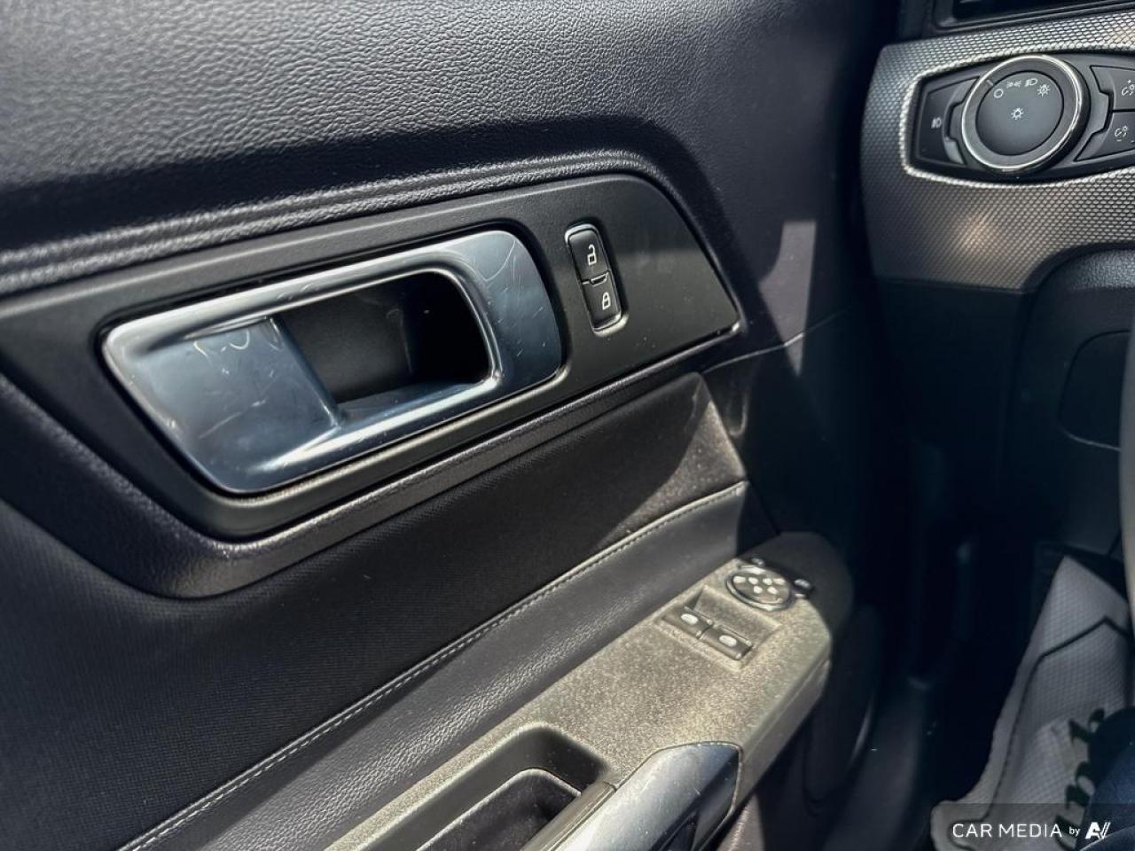 2019 Ford Mustang GT FASTBACK / V8 / MANUAL / NO ACCIDENTS - Photo #11