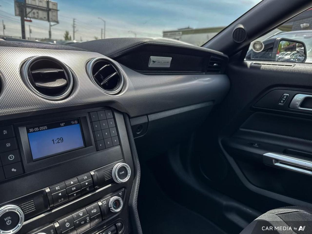 2019 Ford Mustang GT FASTBACK / V8 / MANUAL / NO ACCIDENTS - Photo #21
