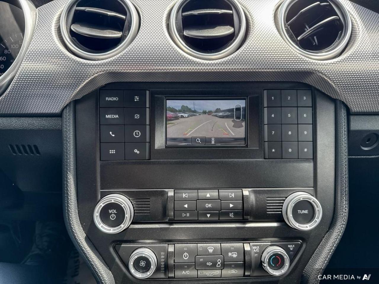 2019 Ford Mustang GT FASTBACK / V8 / MANUAL / NO ACCIDENTS - Photo #14