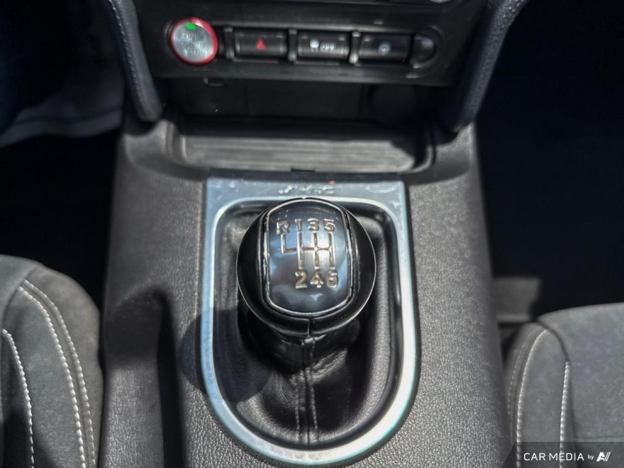 2019 Ford Mustang GT FASTBACK / V8 / MANUAL / NO ACCIDENTS - Photo #16