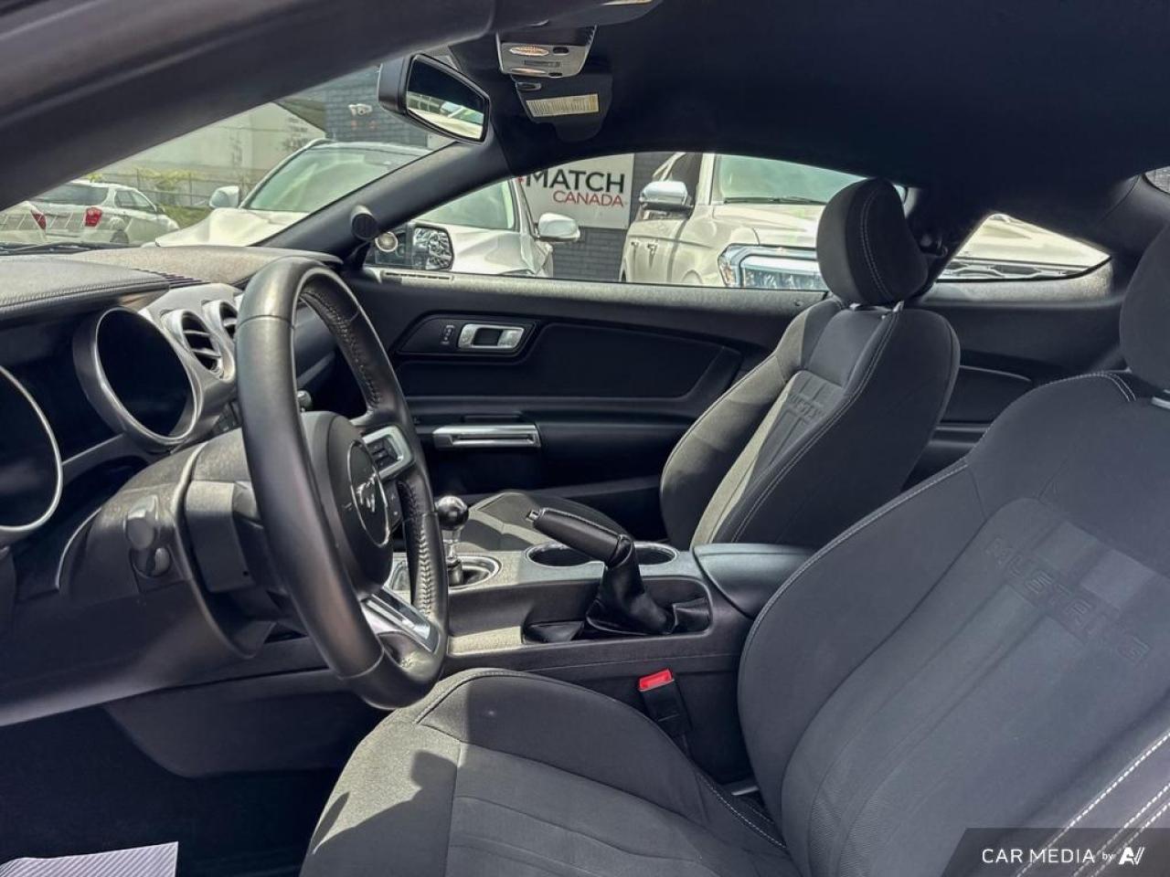 2019 Ford Mustang GT FASTBACK / V8 / MANUAL / NO ACCIDENTS - Photo #10