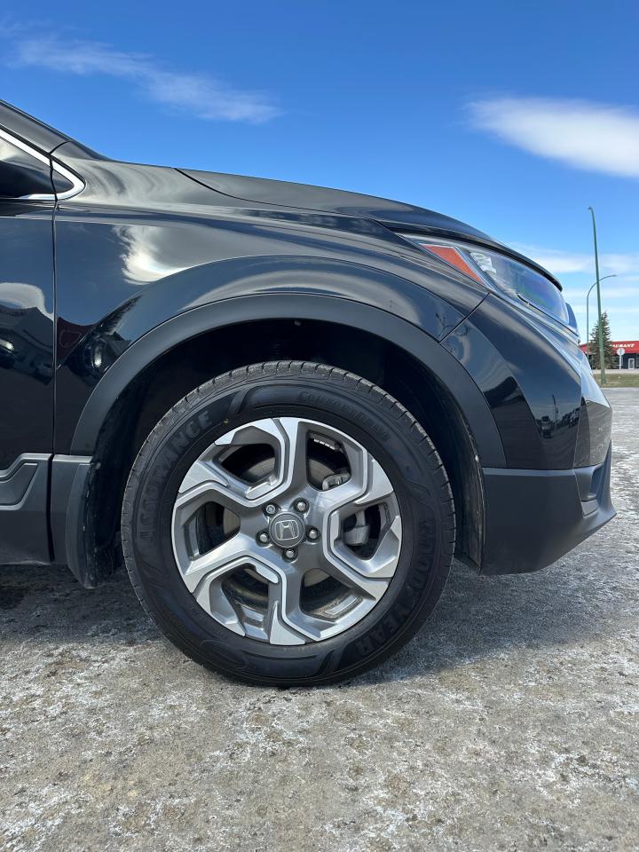 2019 Honda CR-V EX Photo