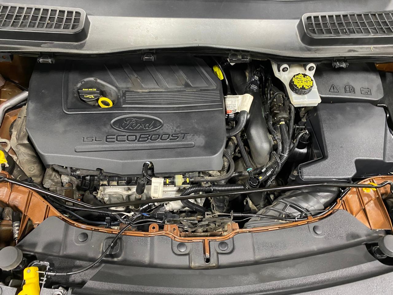 2017 Ford Escape SE - Photo #9