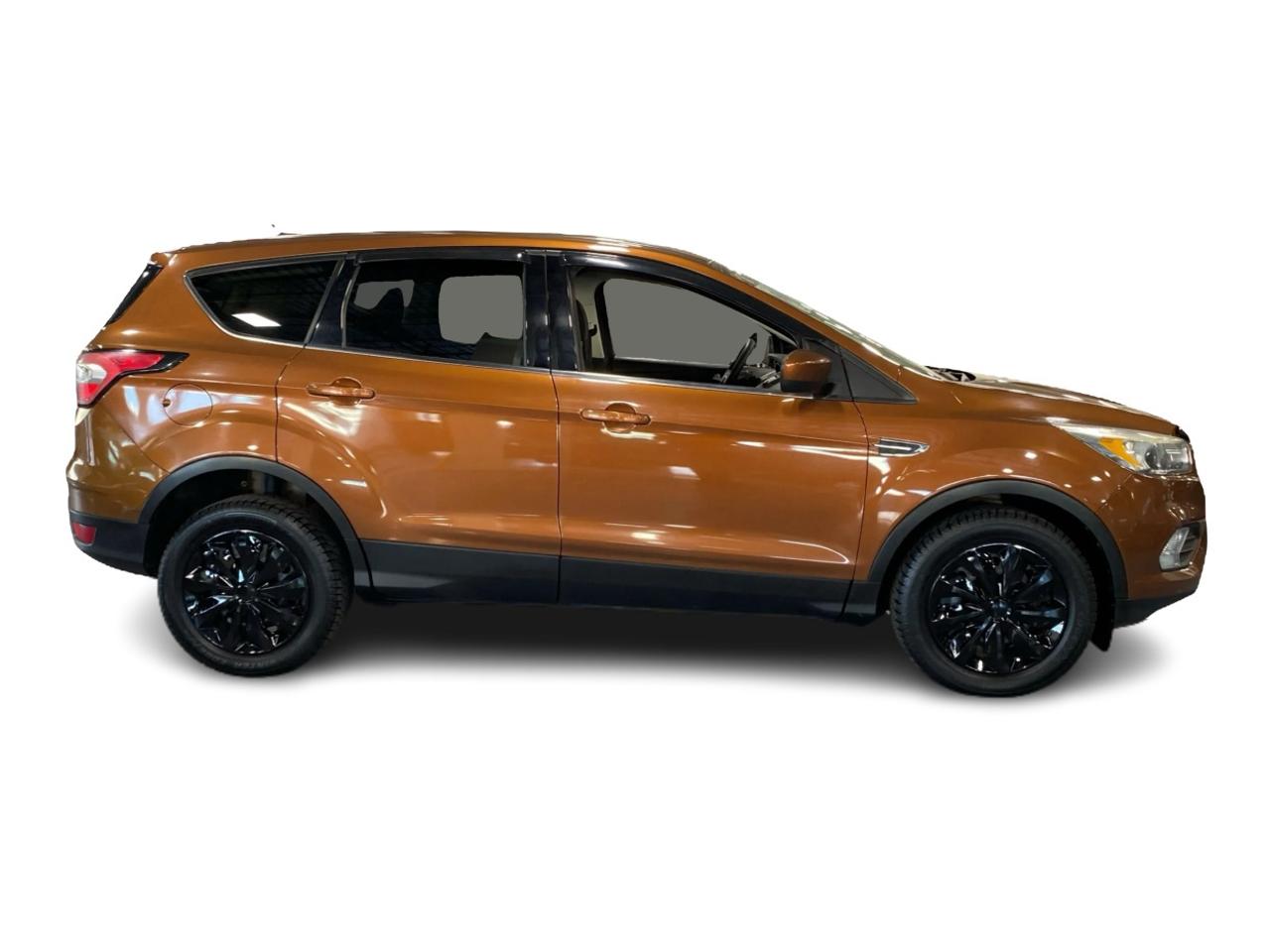 2017 Ford Escape SE Photo