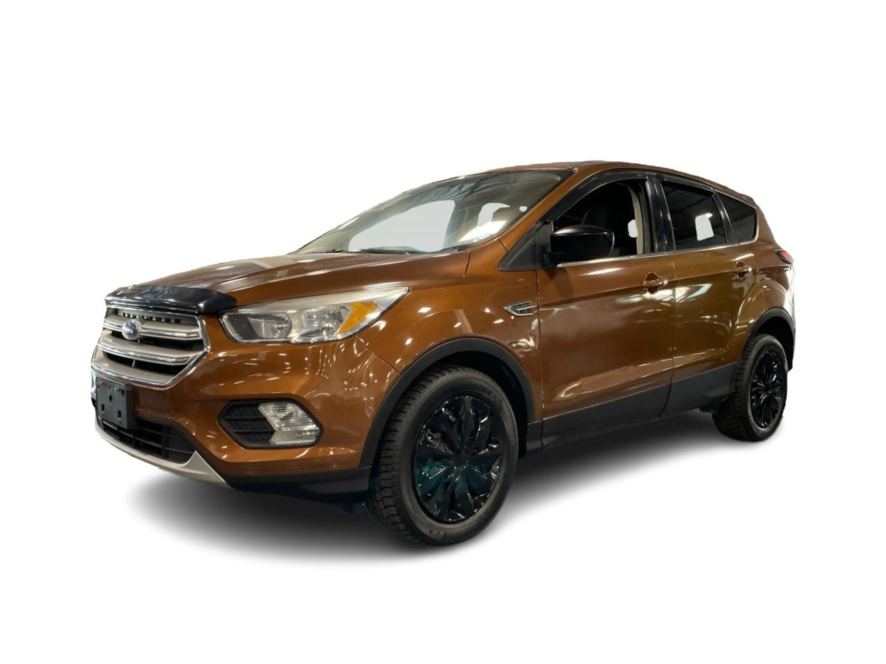 2017 Ford Escape SE Photo