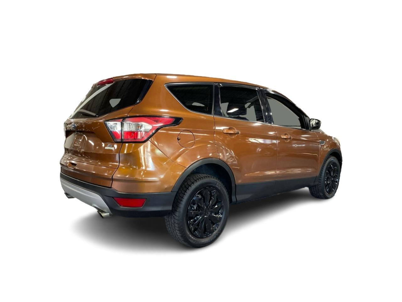 2017 Ford Escape SE Photo